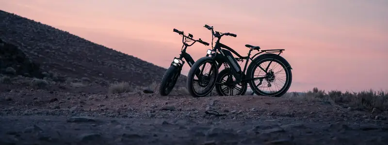 Fat-tire e-bikes parked on a hill at dusk
