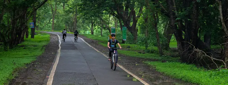 Riders on a paved path through a tunnel of trees